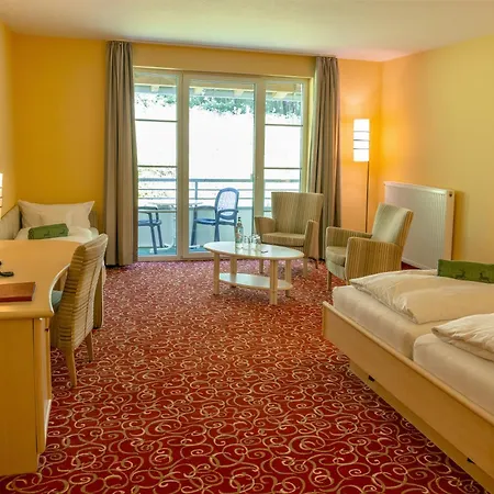 Waldhaus Am Hotel 3*