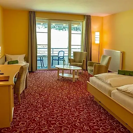 Waldhaus Am Hotel 3*