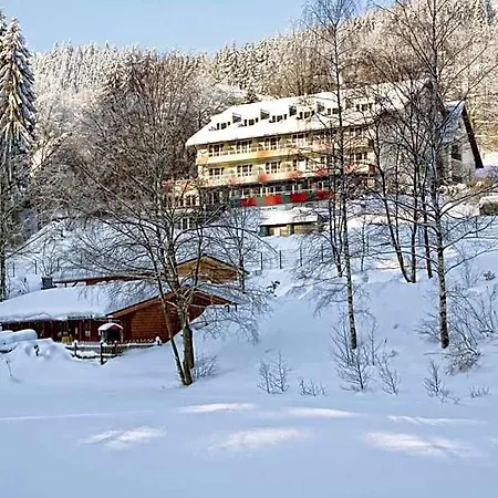 Waldhaus Am Willingen (Upland)