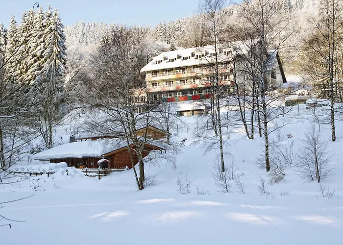 Hotel Waldhaus Am Willingen (Upland)